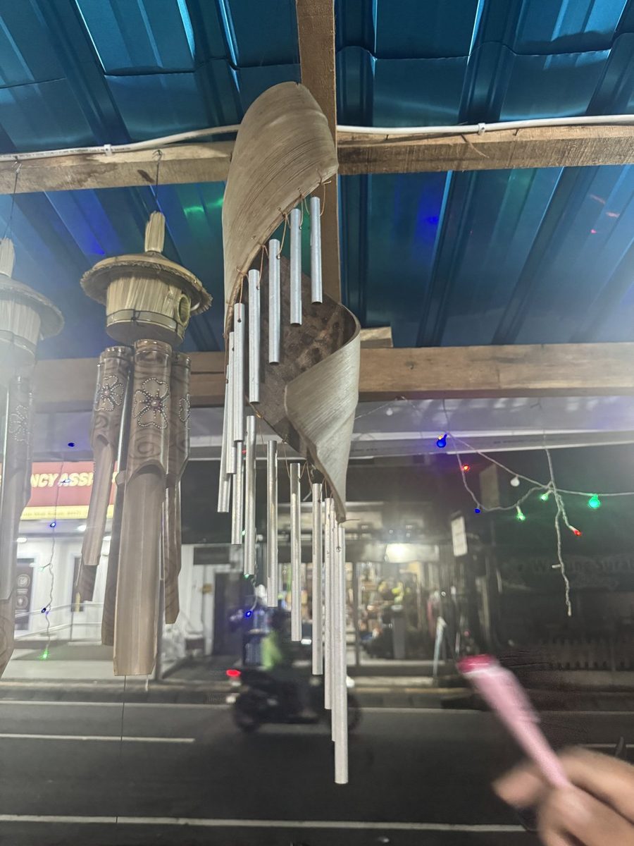 Click to view full-size Wind Chime Coconut with Metal photo 2
