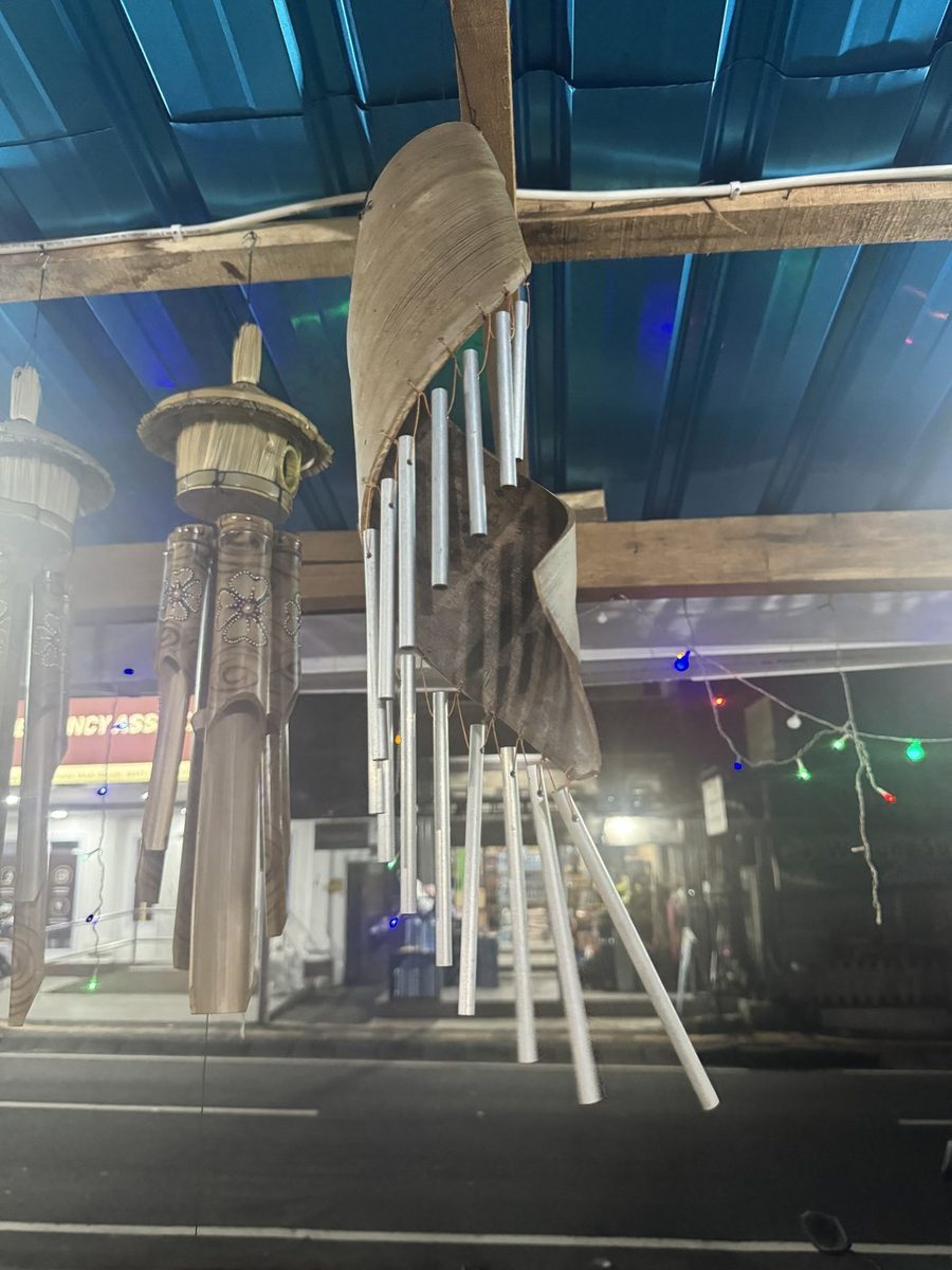 Click to view full-size Wind Chime Coconut with Metal photo 3