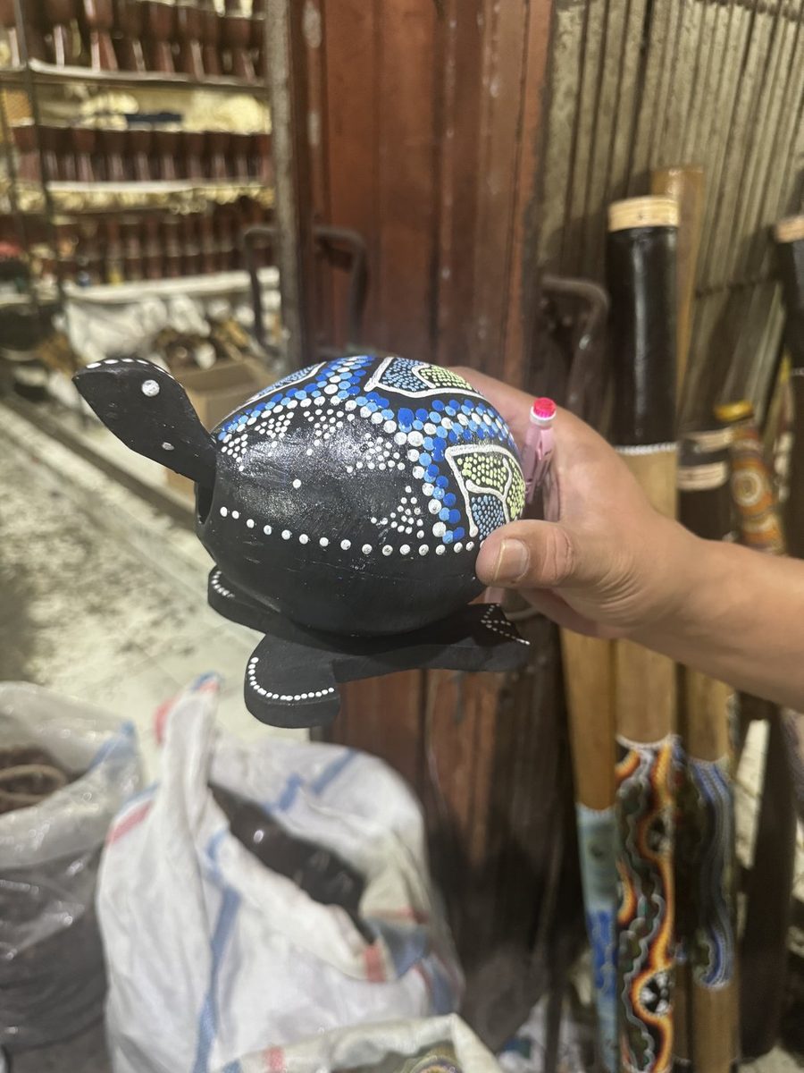 Turtle Moving Head Coconut Shell