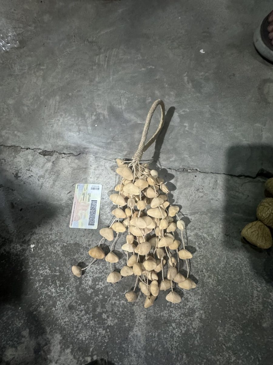 Small Nut Shaker