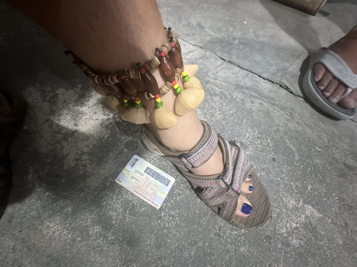 Click to view full-size Ankle Shaker photo 2
