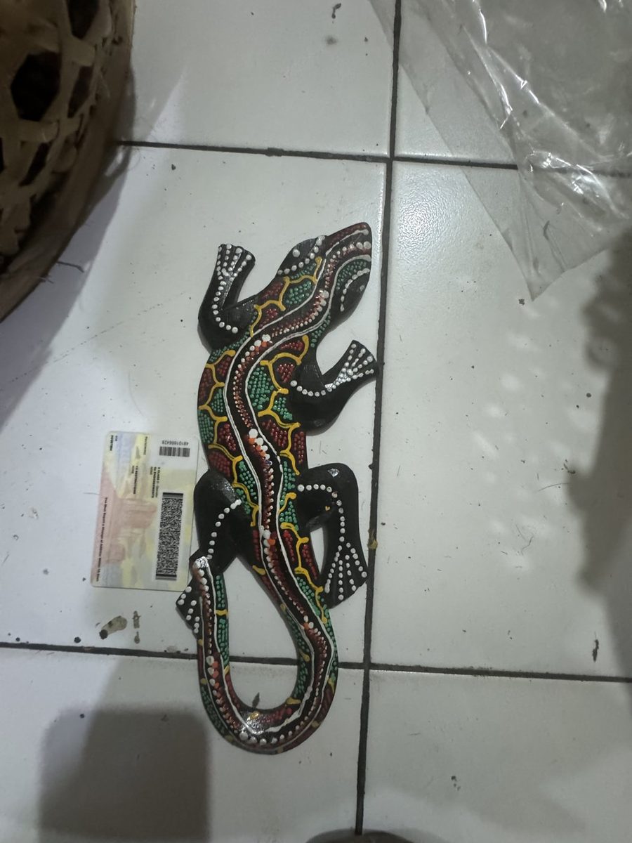 Gecko Small 30 cm