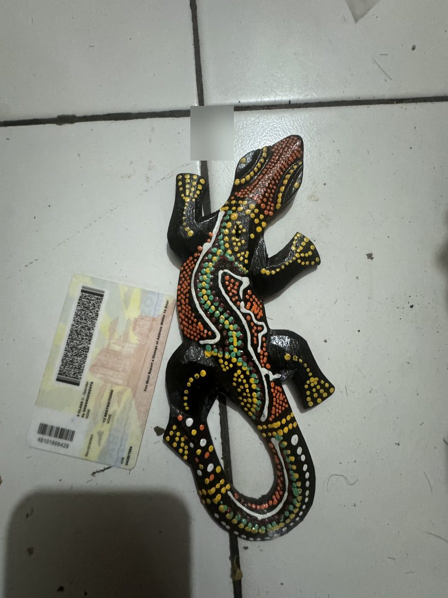 Click to view full-size Gecko Extra Small 20 cm photo 2