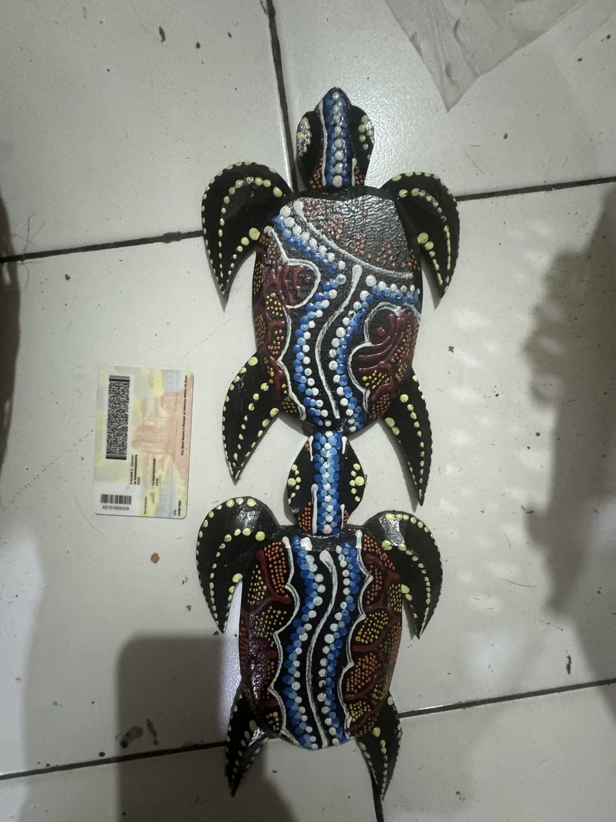 Click to view full-size Turtle 2 Cluster 40 cm photo 2