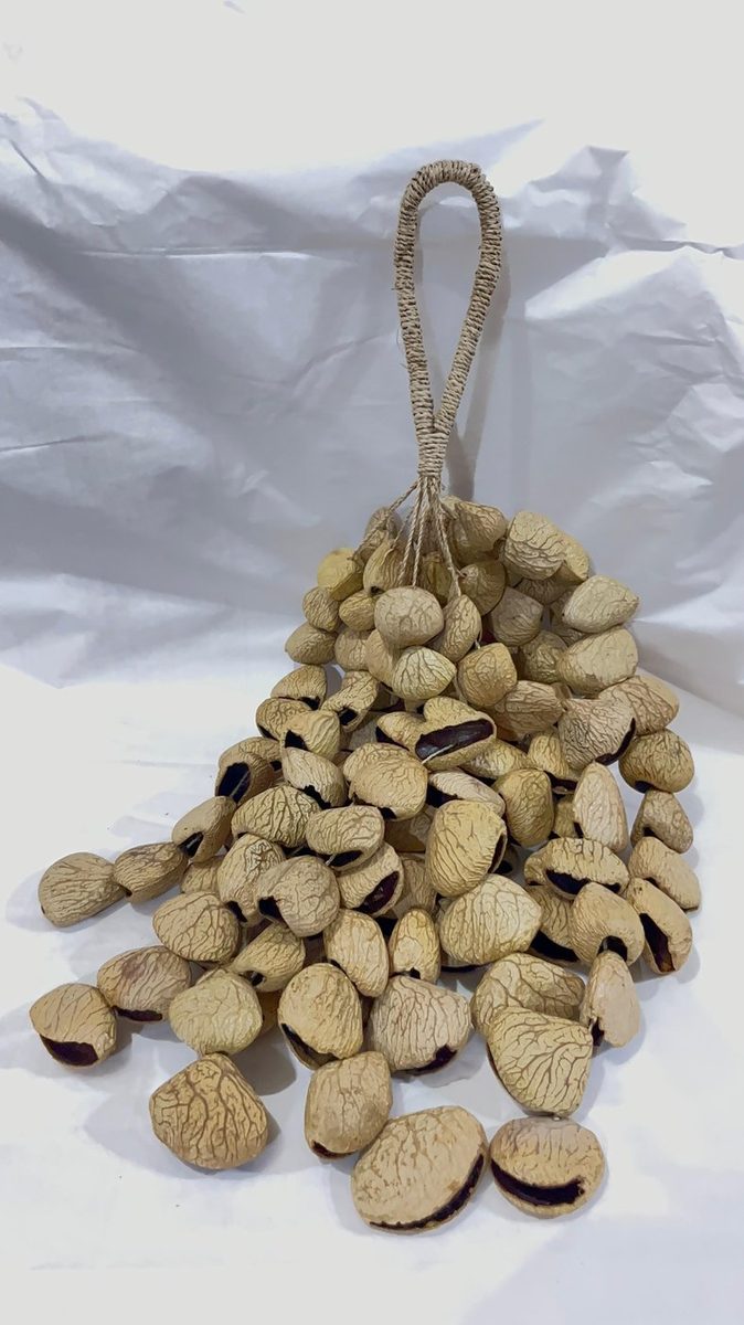 Pangi Shaker